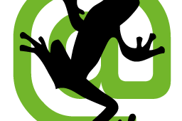 Screaming frog Seo Spider Screaming frog Seo Spider